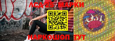 трава Гатчина
