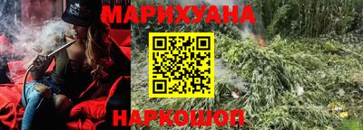 трава Гатчина