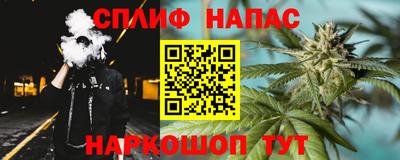трава Гатчина