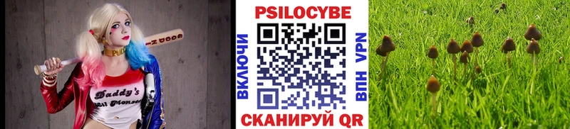 Галлюциногенные грибы Psilocybine cubensis  Жуковский 