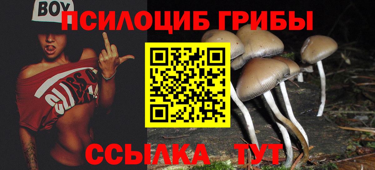 Жуковский  Вход с VPN  Cocaine  Экстази  Меф МЯУ МЯУ кристаллы  Гашиш  Канабис 
