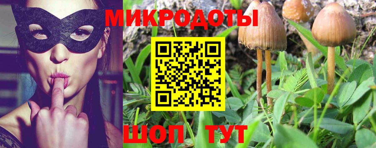 Галлюциногенные грибы MAGIC MUSHROOMS  Жуковский  Псилоцибиновые грибы мухоморы 