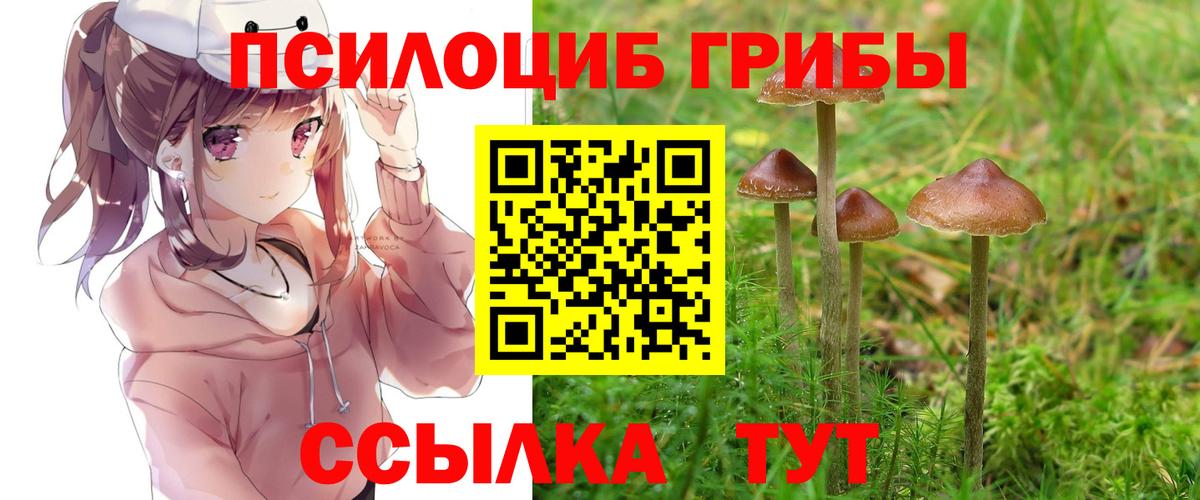 Жуковский  Галлюциногенные грибы MAGIC MUSHROOMS  Вход с VPN 