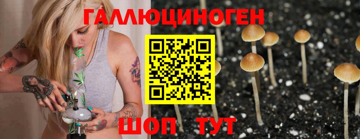 Галлюциногенные грибы MAGIC MUSHROOMS Жуковский